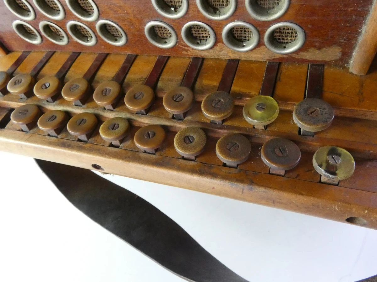 Vintage accordeon met knoppen en leren balg