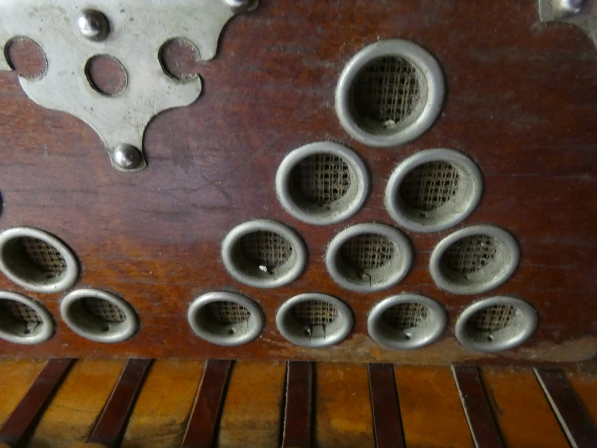 Vintage accordeon met knoppen en leren balg