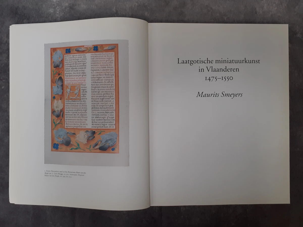 Boek: Vlaamse miniaturen voor vorsten en burgers 1475–1550 - foto 4