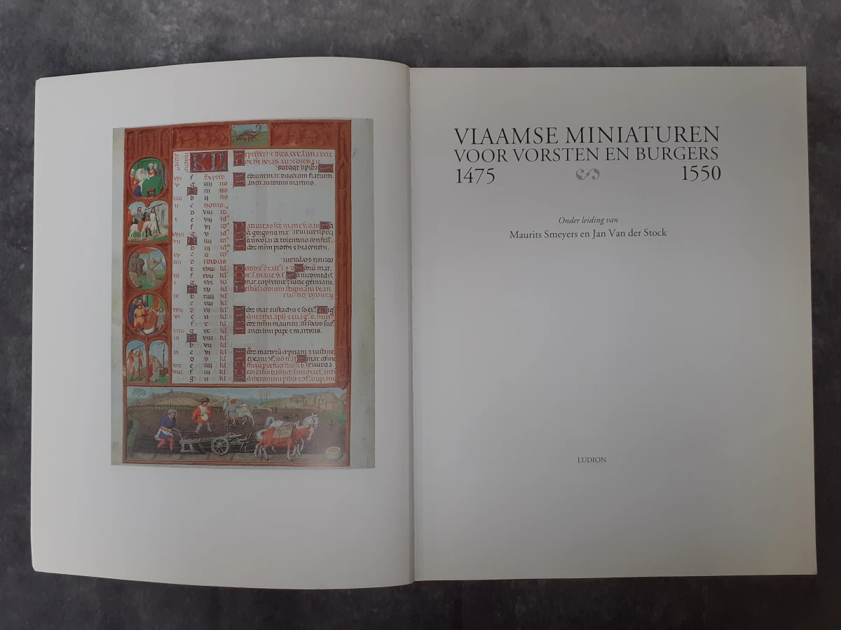 Boek: Vlaamse miniaturen voor vorsten en burgers 1475–1550 - foto 3