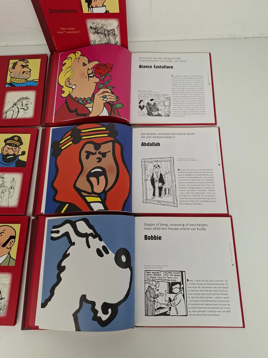 🚨 VOLLEDIGE SET: 10x Kuifje Monografieën (2007) – Luxe hardcovers (Mogelijk gesigneerd) - foto 5