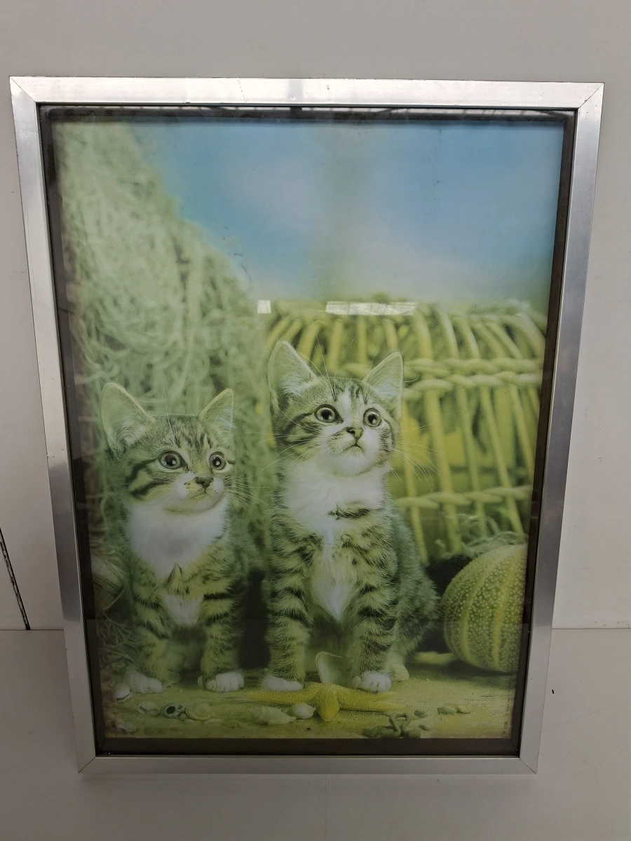 🖼️ Zeldzame Vintage 3D Reliëf Poster Kittens – Nova Rico (Florence, Italië 1974) – N° 1036 🖼️ - foto 2