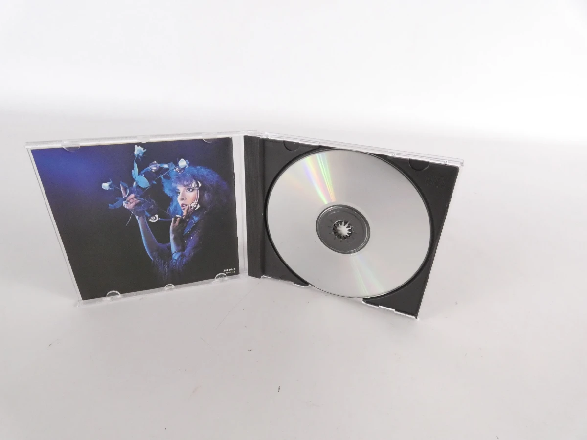 Fleetwood Mac CD's en DVD's muziekcollectie