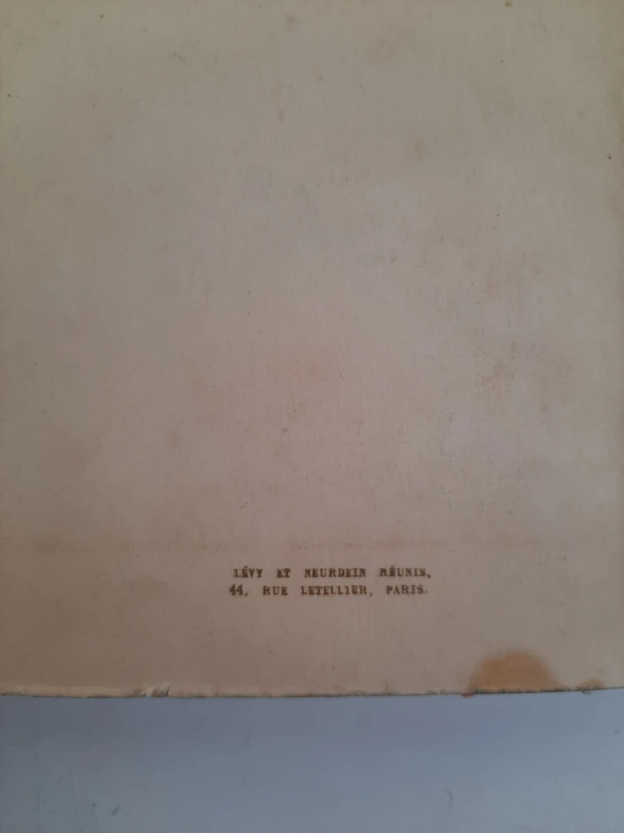📜 Set van 2 Antieke Franse Foto-albums / Souvenirboeken (ca. 1910–1920) - foto 8