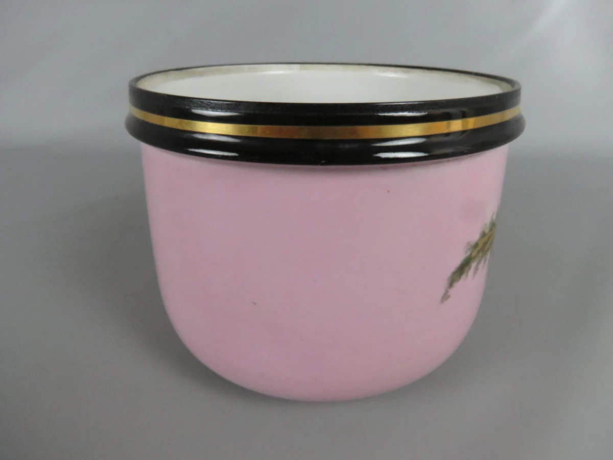 Roze bloempot