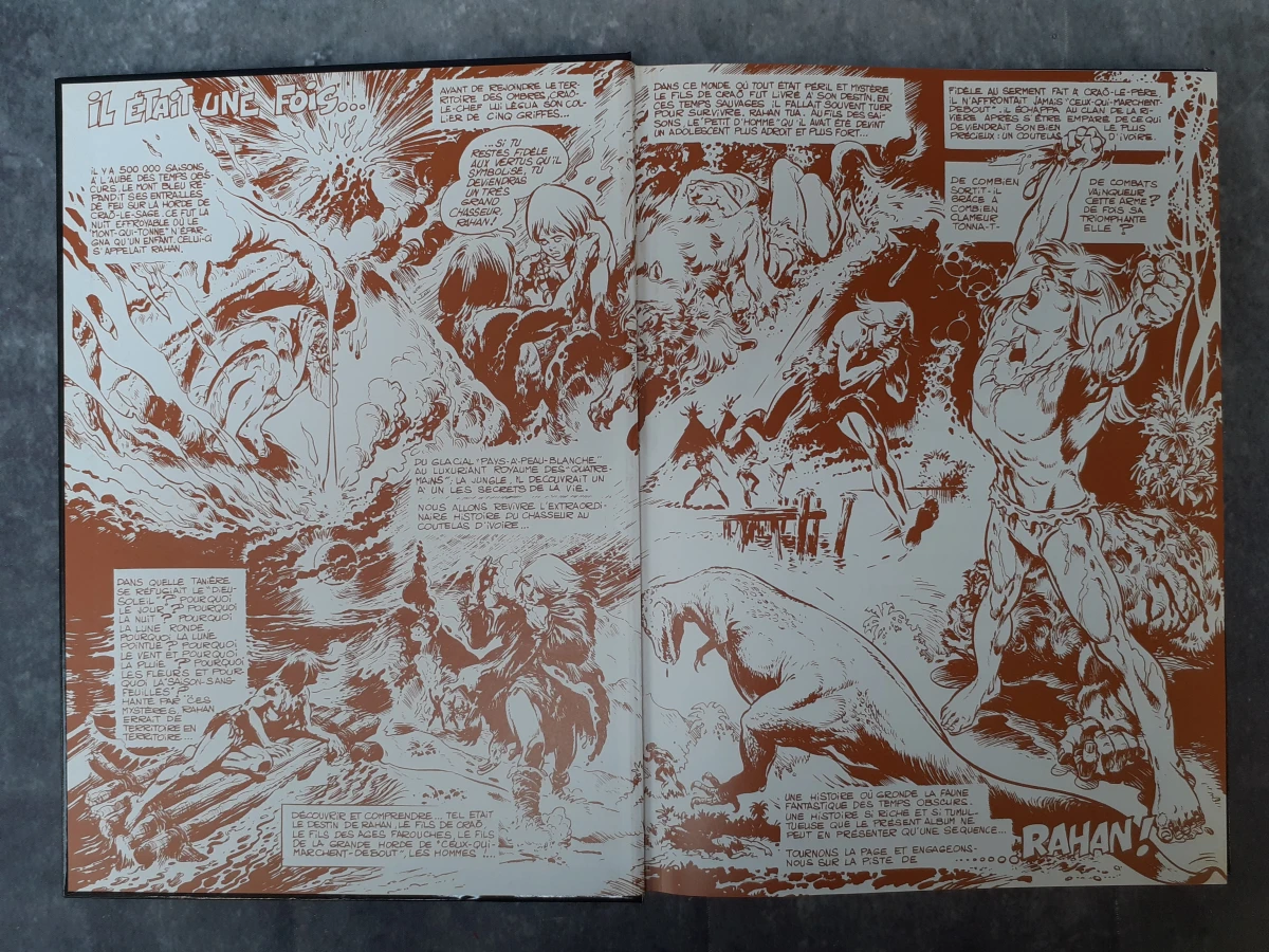 Strips: Eerste 3 albums uit de reeks "Rahan, fils des âges farouches" - foto 3