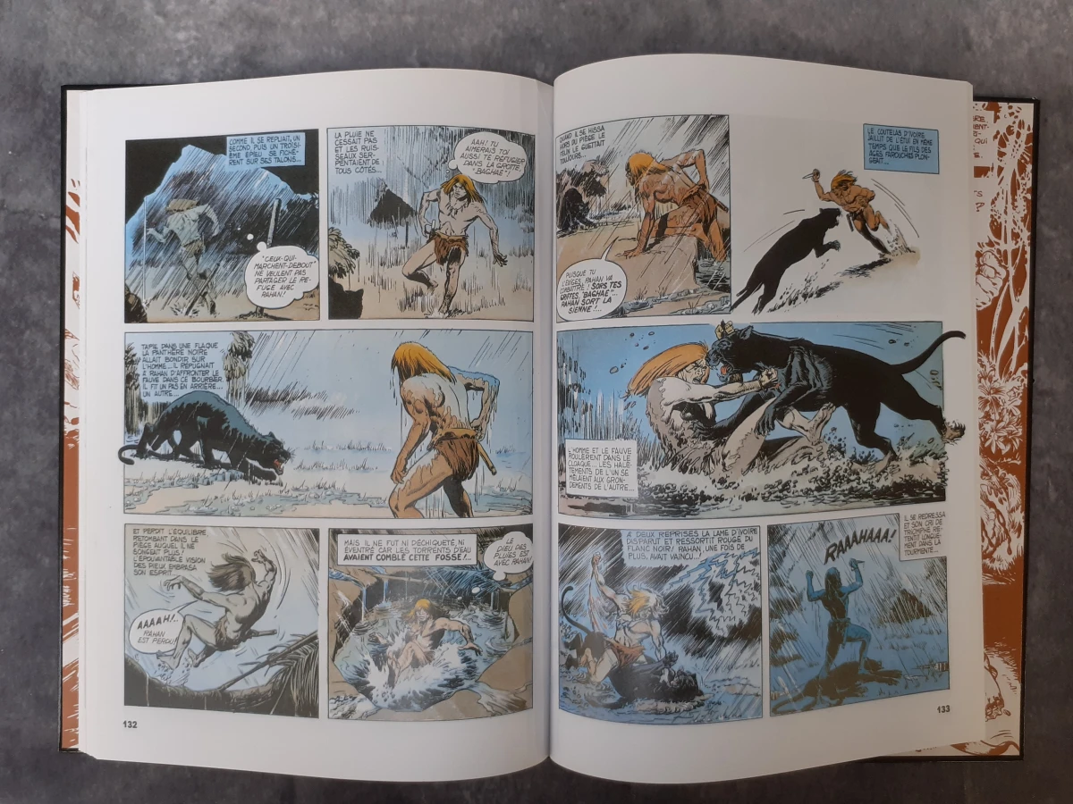 Strips: Eerste 3 albums uit de reeks "Rahan, fils des âges farouches" - foto 5