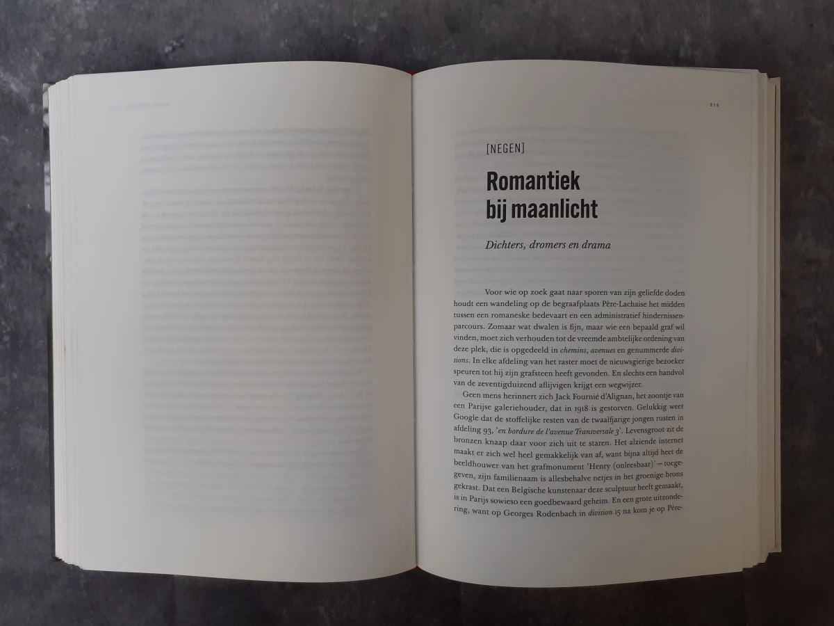 Boek: Gare du Nord: Belgische en Nederlandse kunstenaars in Parijs - foto 4
