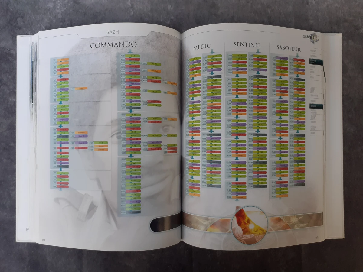 Boek: Officiële Strategy Guides voor Final Fantasy XIII & XIII-2 - foto 5