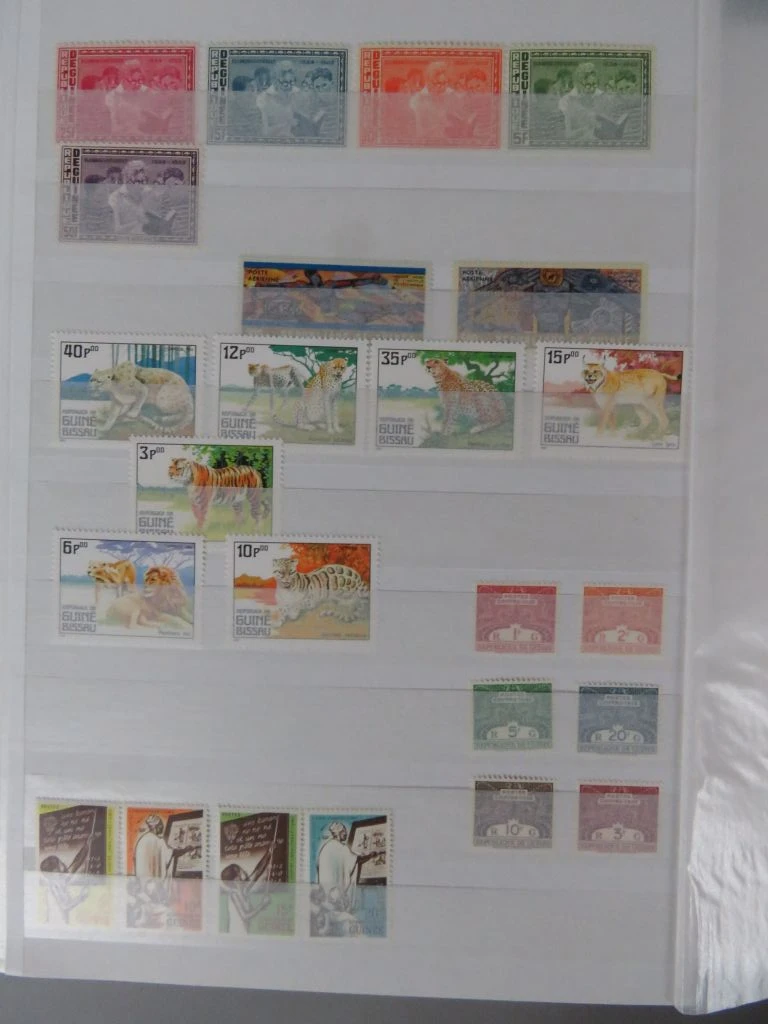 Postzegelverzameling in album met diverse thema's 2