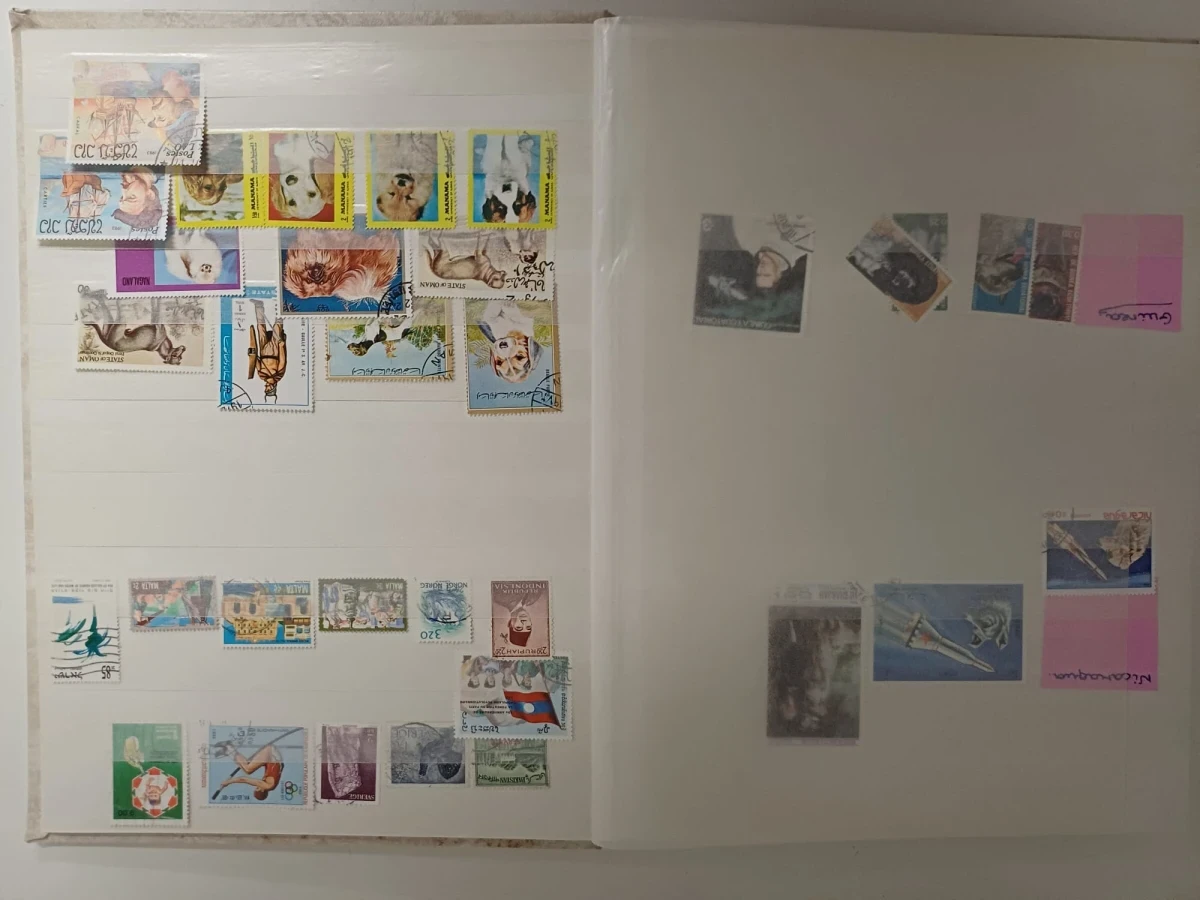 Verzameling postzegels met albums en losse zegels