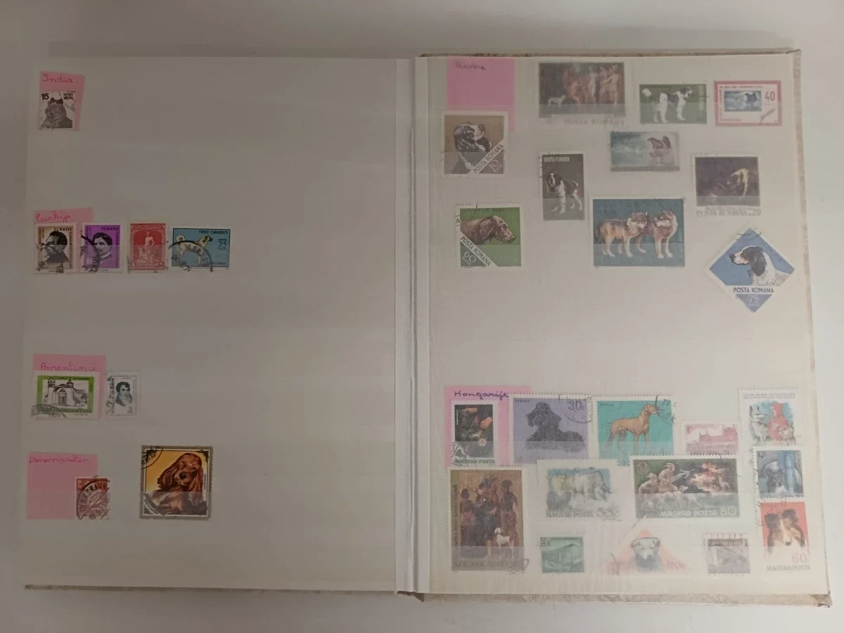 Verzameling postzegels met albums en losse zegels