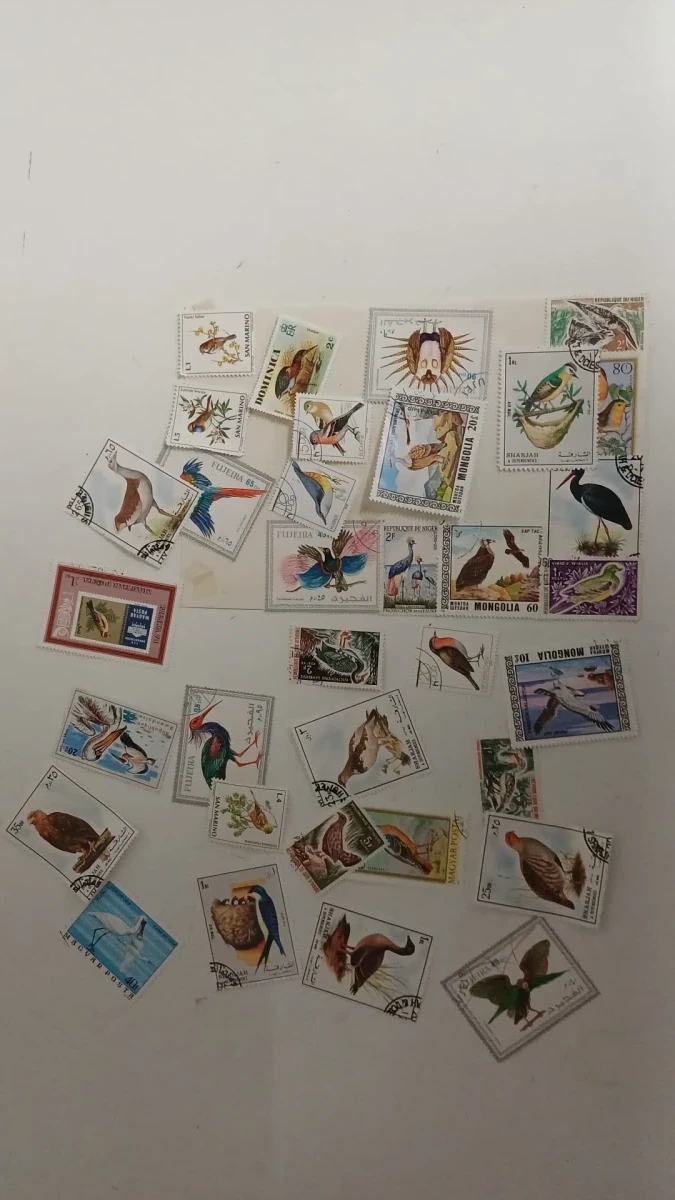 Verzameling postzegels met albums en losse zegels