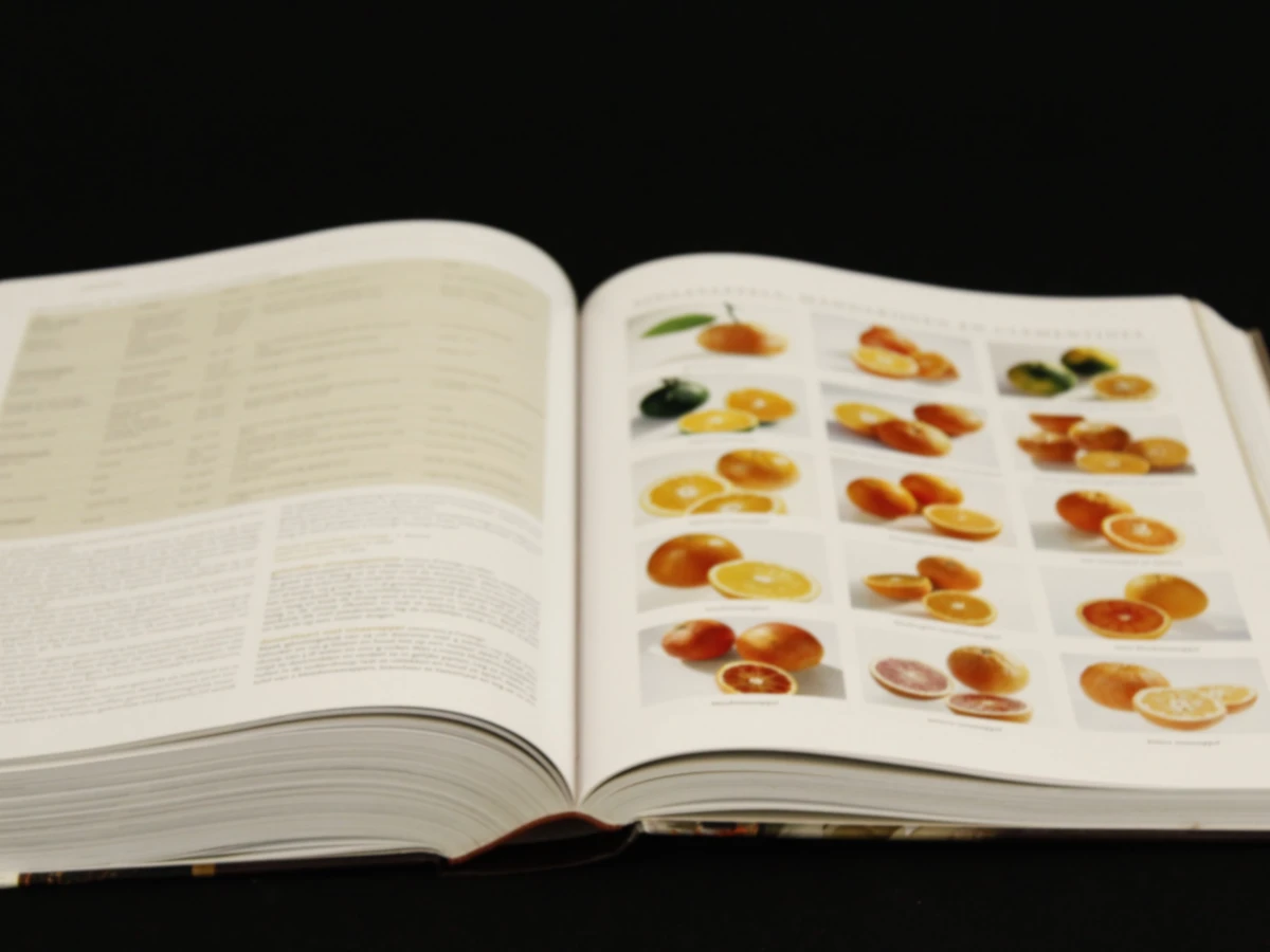 De Grote Larousse Gastronomique kookboeken  set met medewerkng van het comité gastronomique onder leiding van Joël Robuchon Kosmos uitgevers Utrecht/Antwerpen