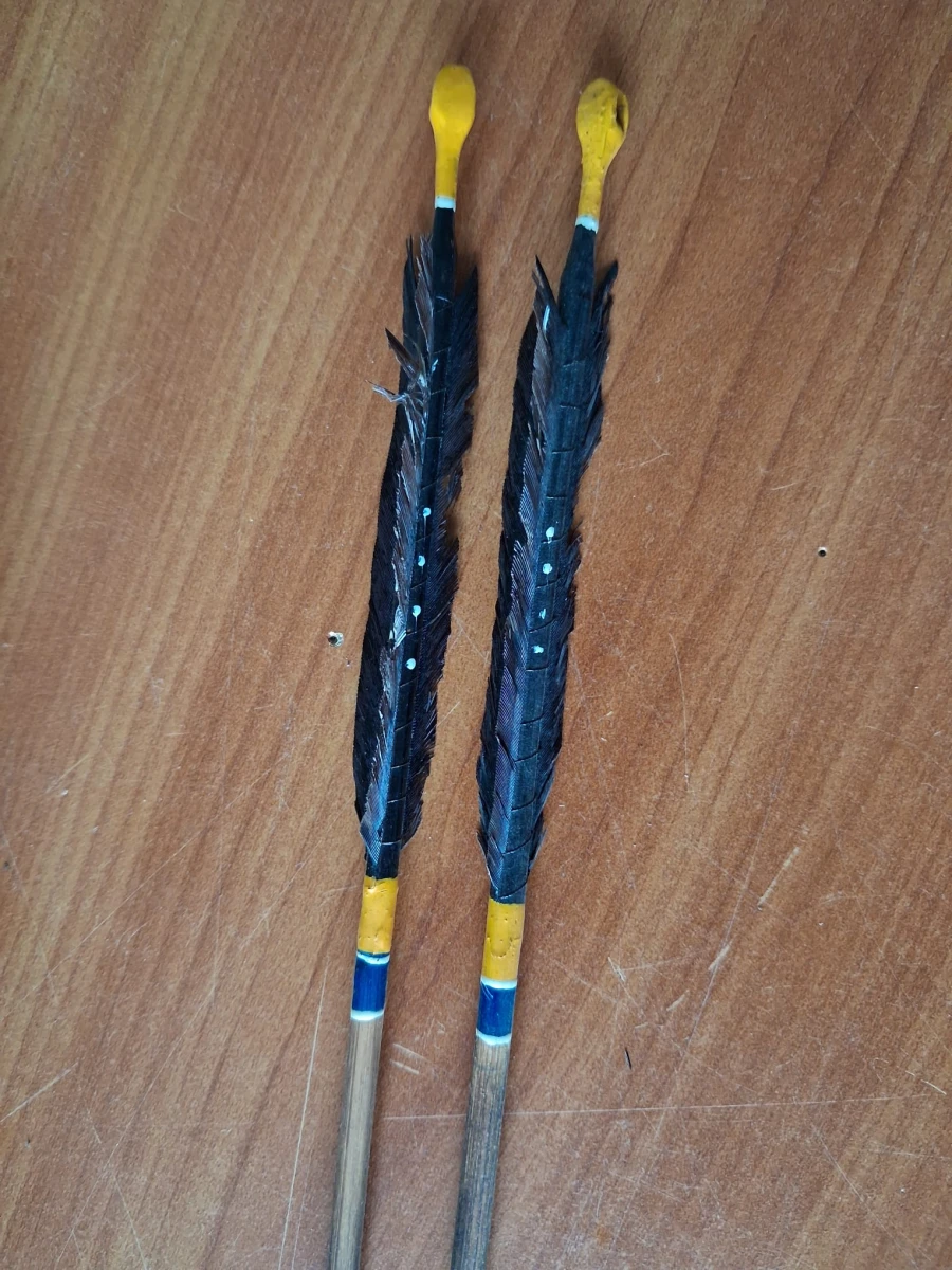 Filippijnse pijlenkoker