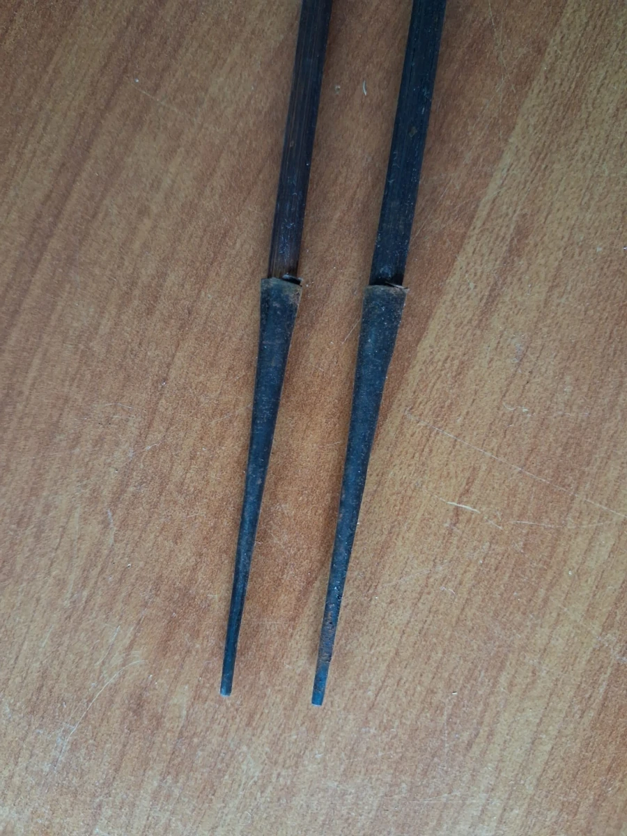 Filippijnse pijlenkoker