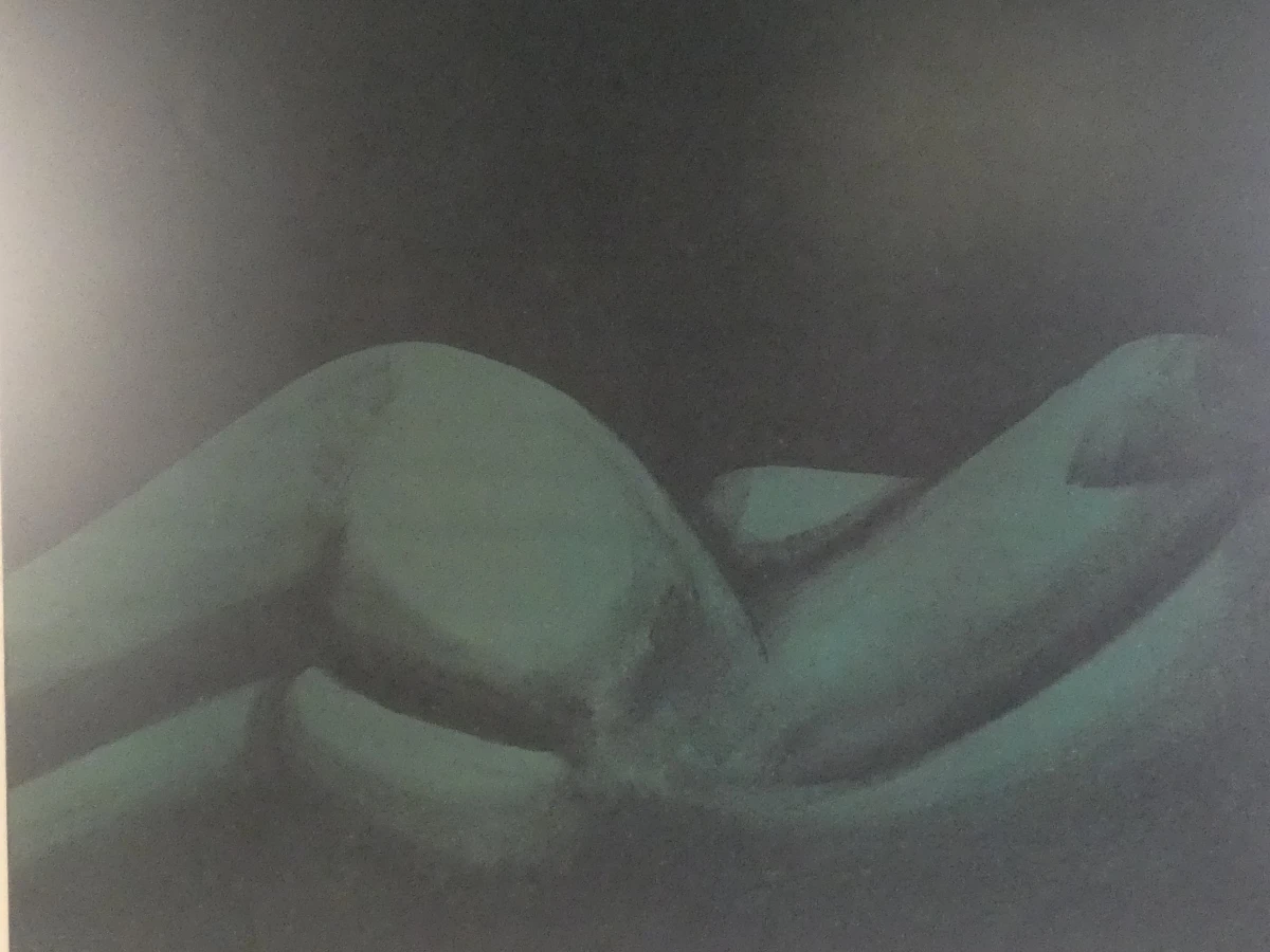 Ingelijste litho in donkere tinten