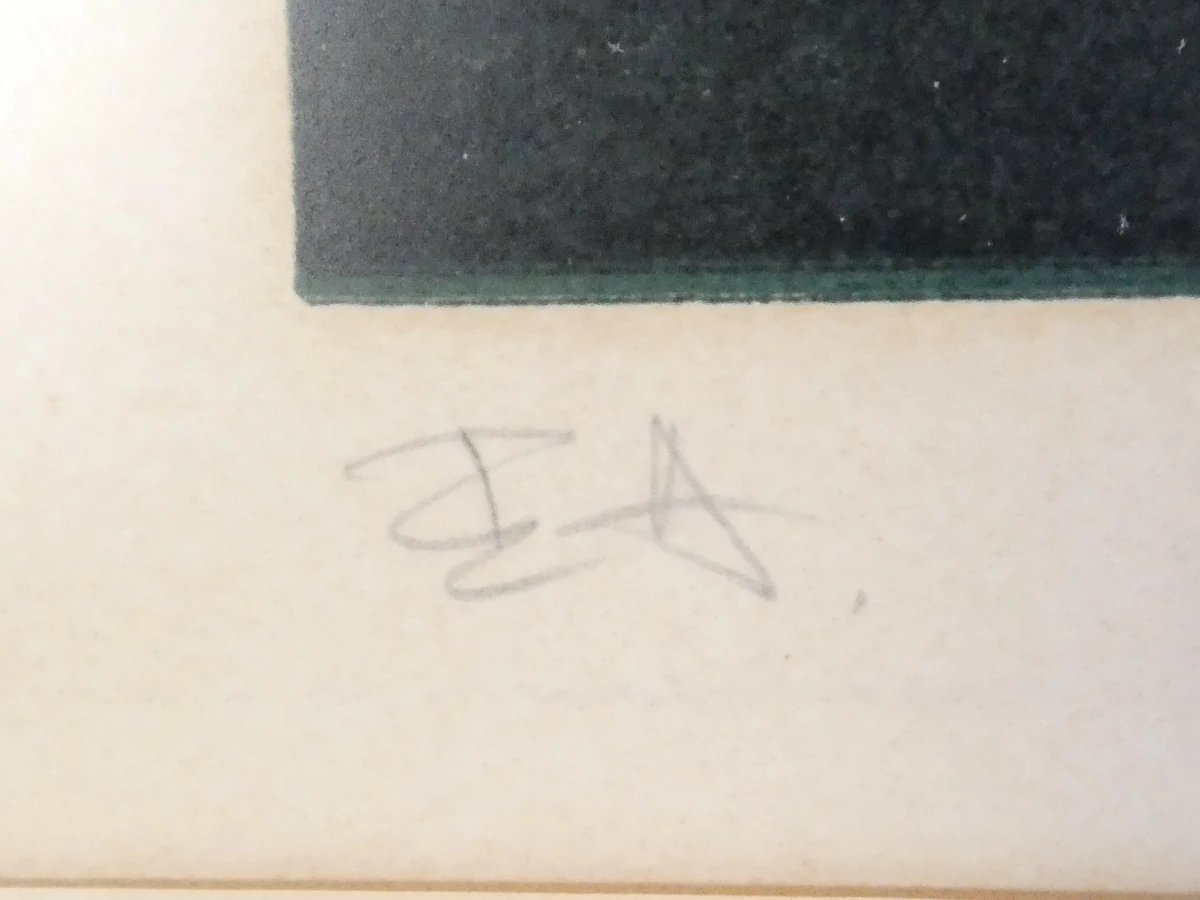 Ingelijste litho in donkere tinten