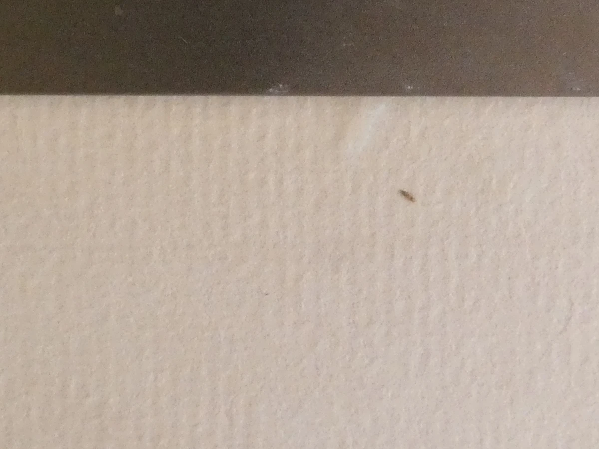 Ingelijste litho in donkere tinten