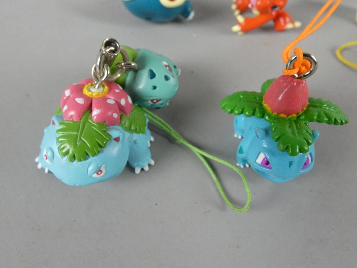Originele Pokémon Figurines, Sleutelhangers en Metal Tags Collectie