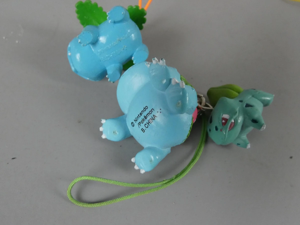 Originele Pokémon Figurines, Sleutelhangers en Metal Tags Collectie