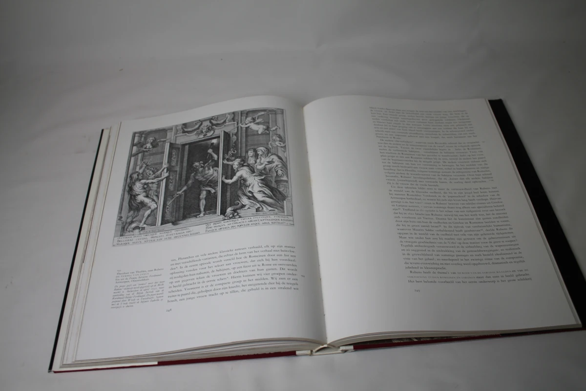 Boek P.P. Rubens met beschermhoes
