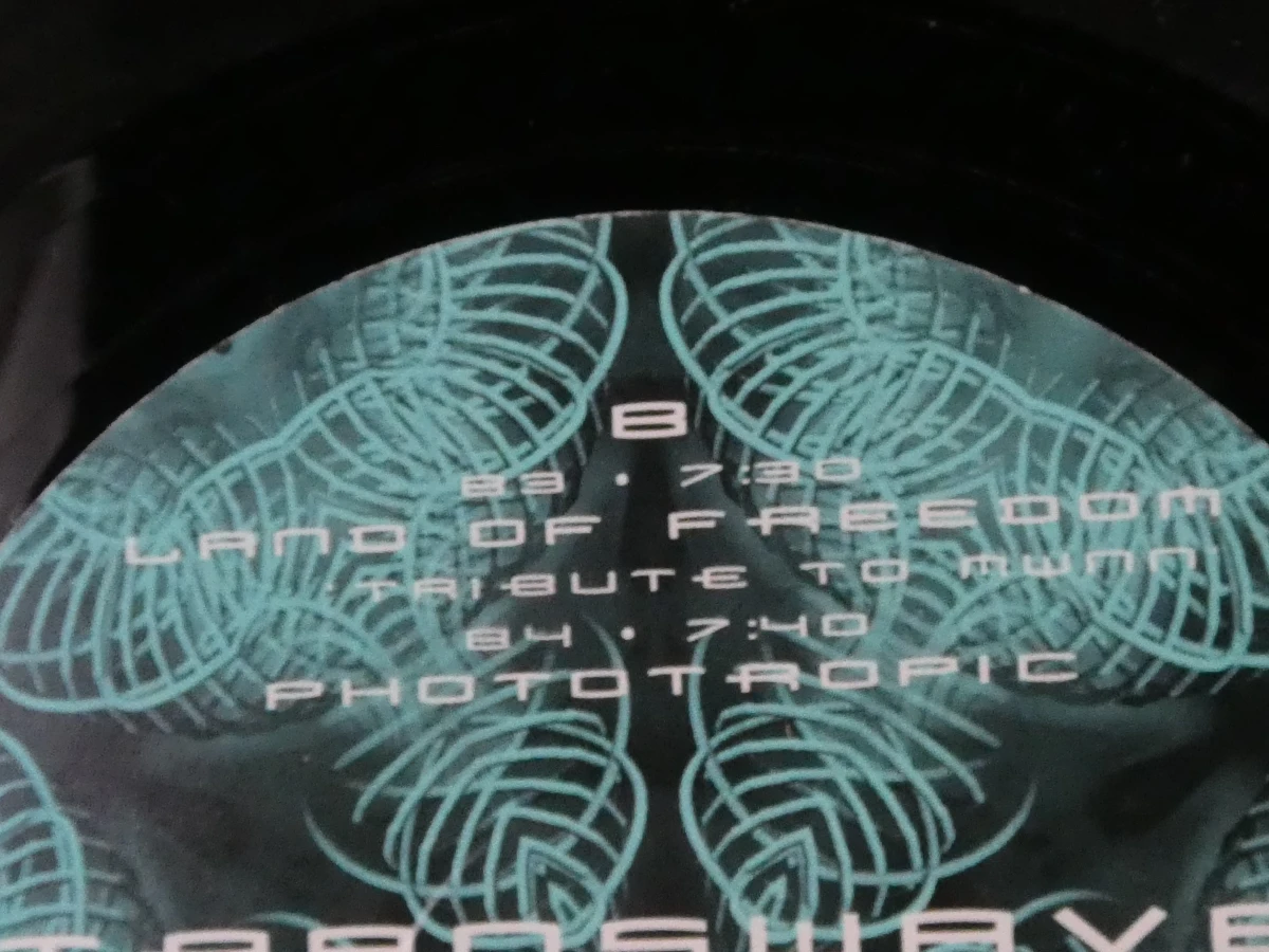 Vinylplaat Transwave Phototropic 2LP