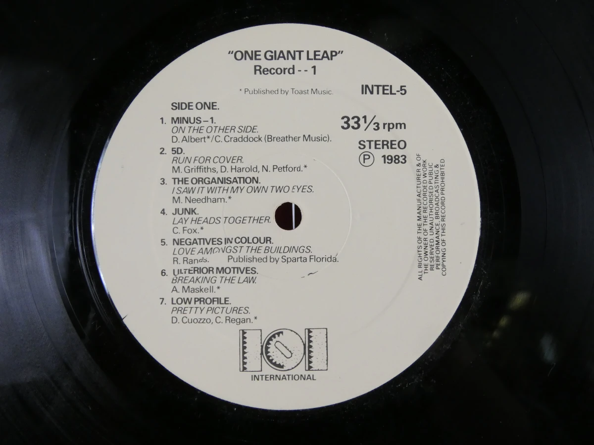 Vinyl dubbelalbum 'One Giant Leap' uit 1983