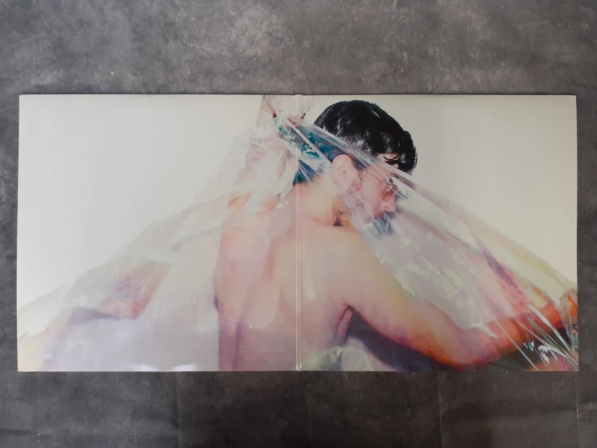 Vinyl: Oscar and the Wolf - Entity - foto 3