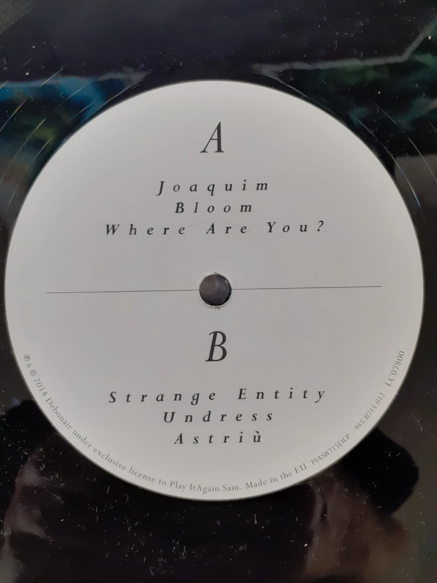 Vinyl: Oscar and the Wolf - Entity - foto 6