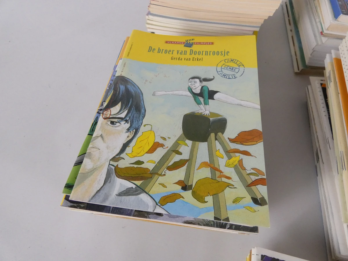 Set van diverse Vlaamse Filmpjes boeken en verhalen(+350)