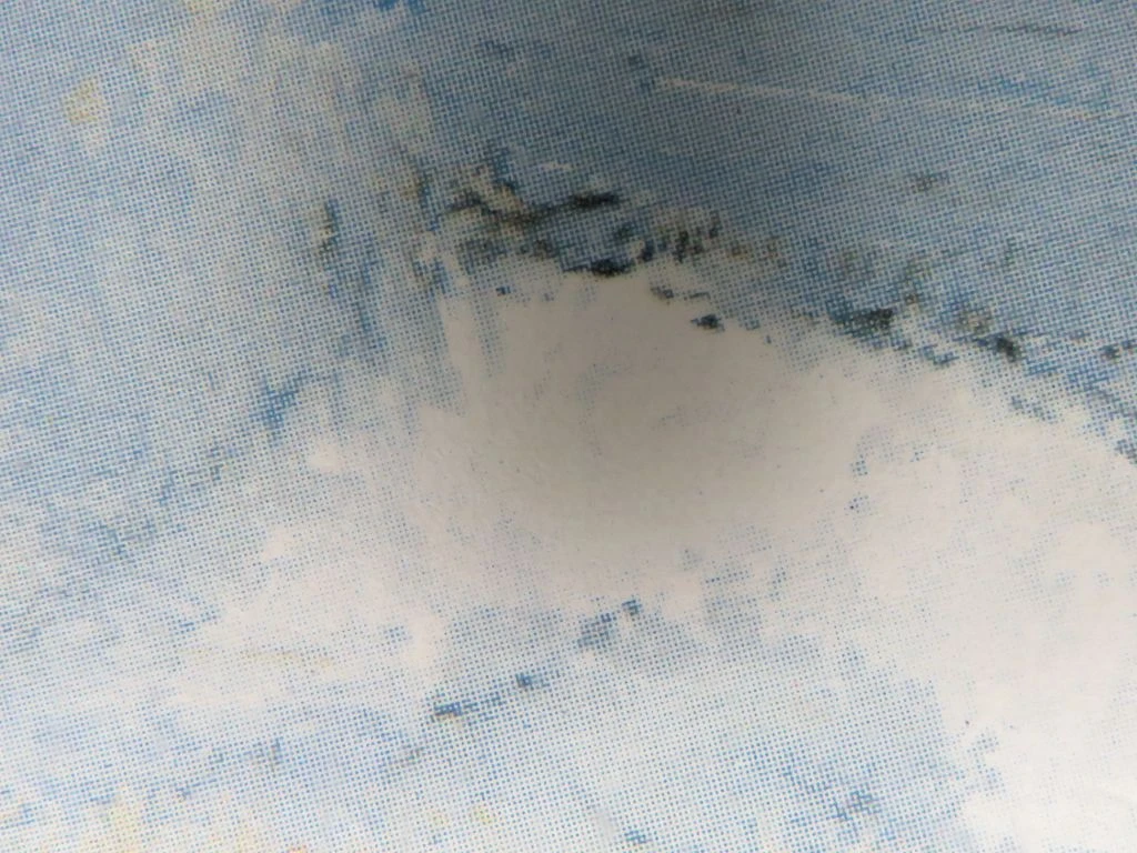 Schilderij met meeuwen aan zee