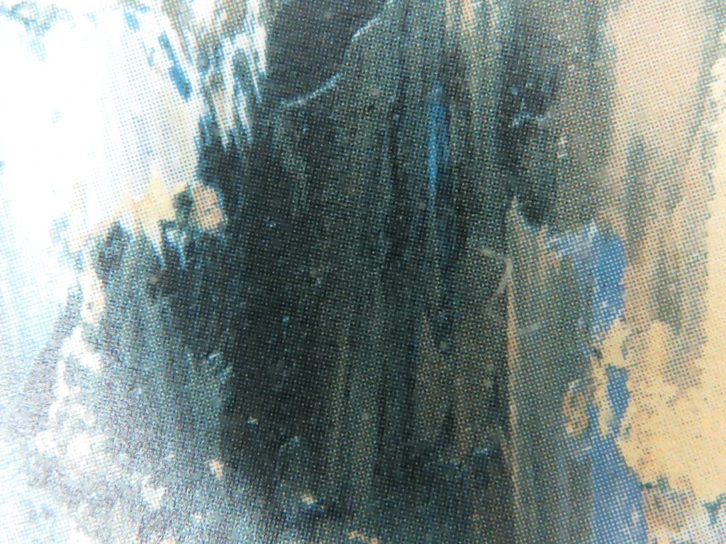 Schilderij met meeuwen aan zee