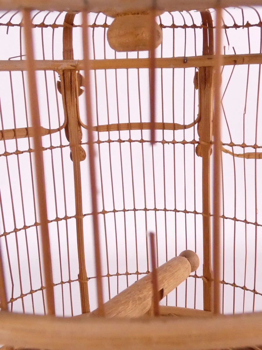 Decoratieve bamboe vogelkooi met kunstvogels en kikkerfiguur