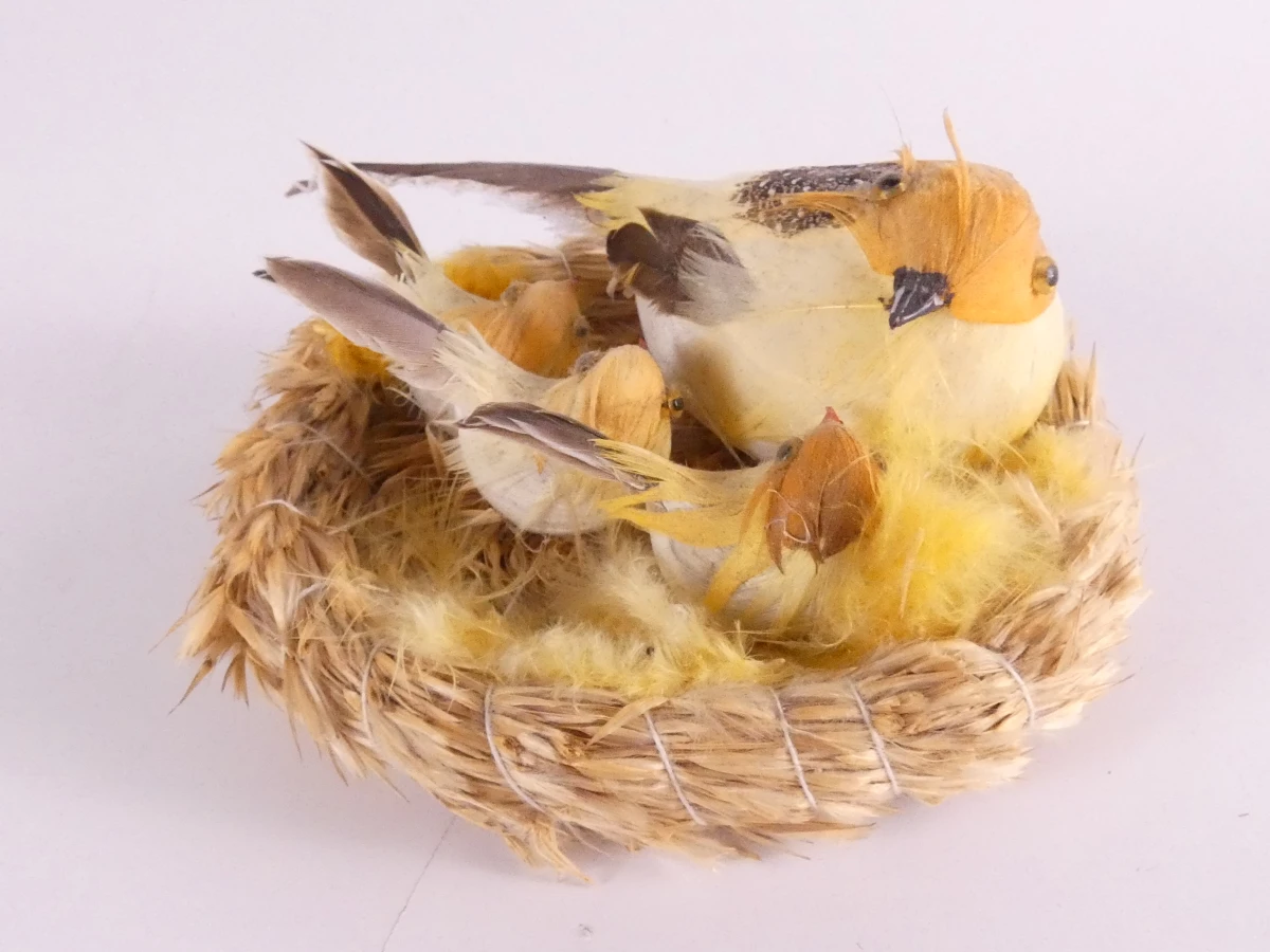 Decoratieve bamboe vogelkooi met kunstvogels en kikkerfiguur