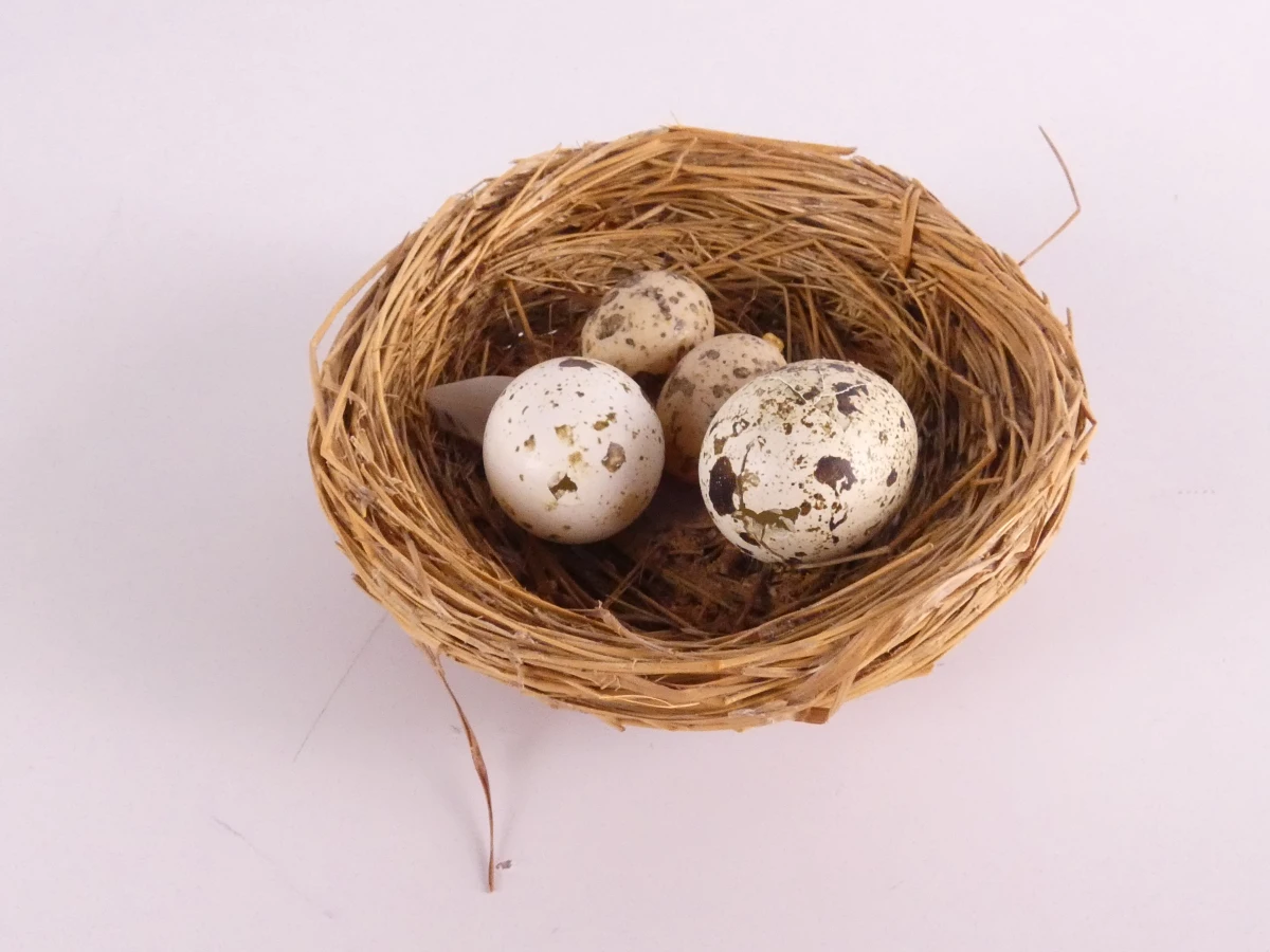 Decoratieve bamboe vogelkooi met kunstvogels en kikkerfiguur