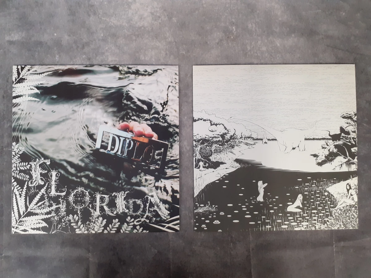 Vinyl: Diplo – F10rida - foto 6