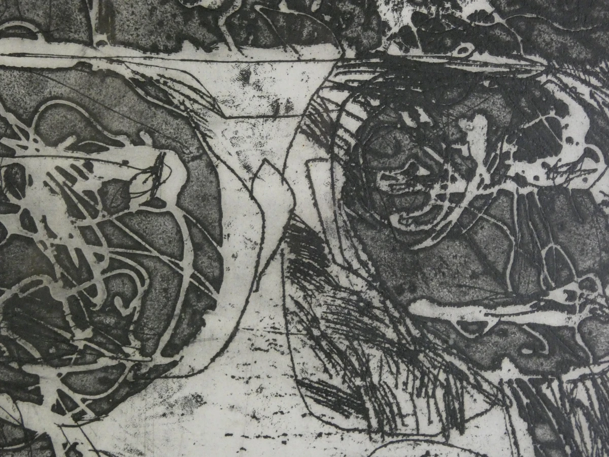 Gesigneerde litho 'Tumidantes' van Ampe Dominique in houten lijst
