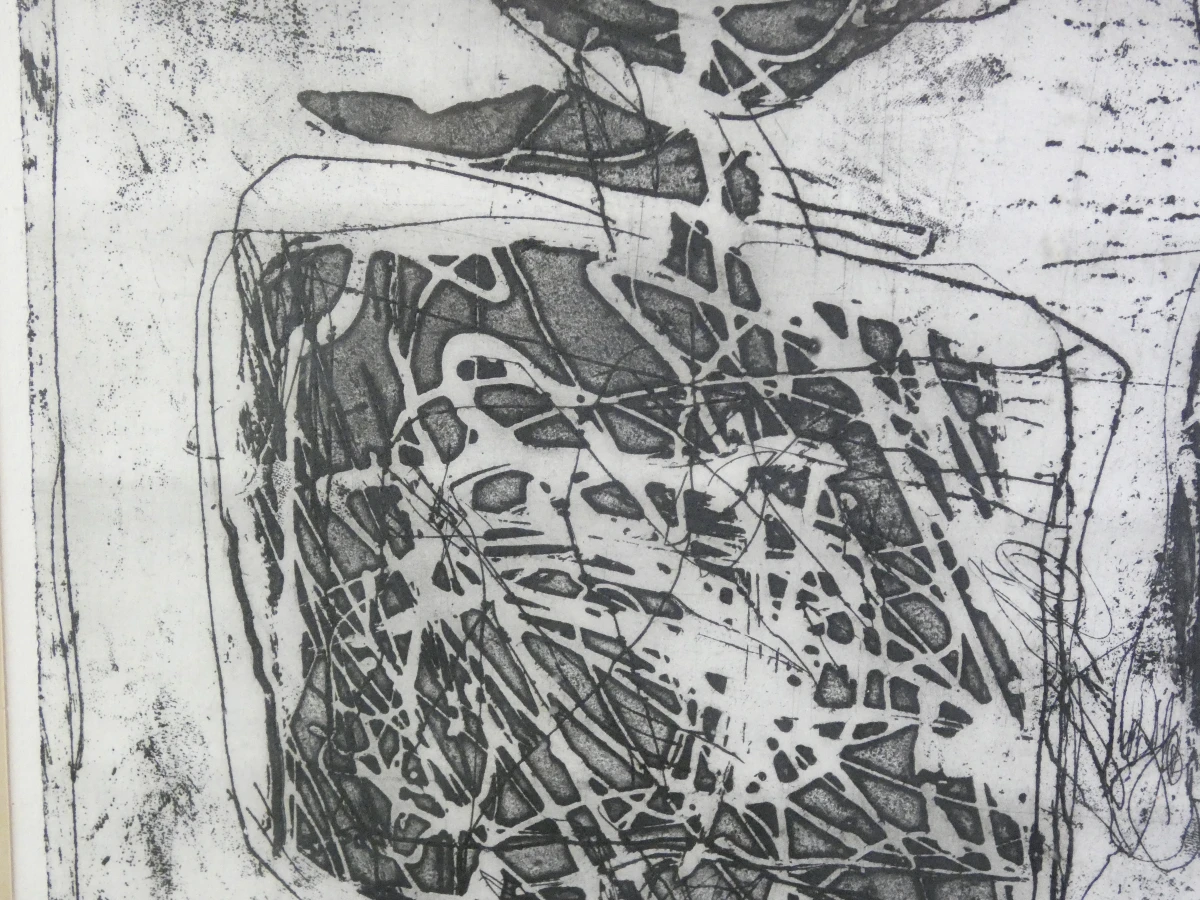 Gesigneerde litho 'Tumidantes' van Ampe Dominique in houten lijst