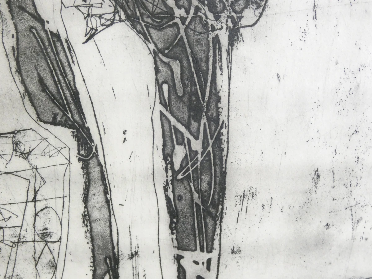 Gesigneerde litho 'Tumidantes' van Ampe Dominique in houten lijst