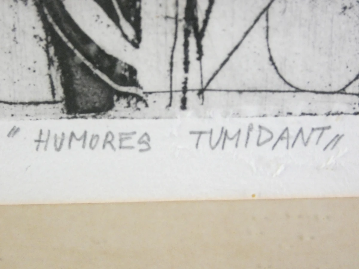 Gesigneerde litho 'Tumidantes' van Ampe Dominique in houten lijst