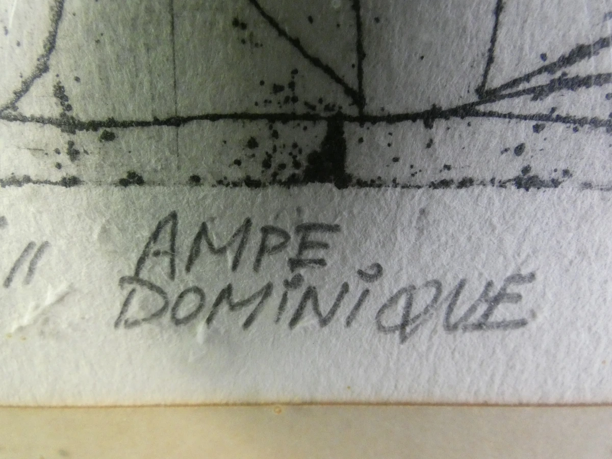 Gesigneerde litho 'Tumidantes' van Ampe Dominique in houten lijst