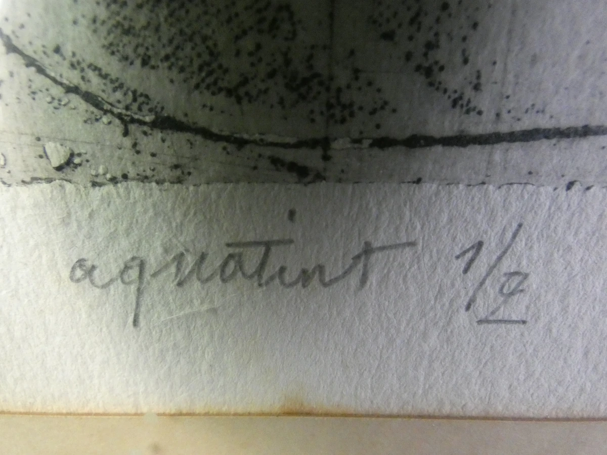 Gesigneerde litho 'Tumidantes' van Ampe Dominique in houten lijst