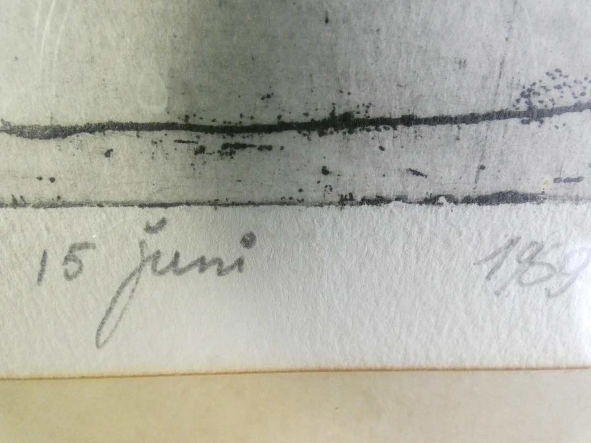 Gesigneerde litho 'Tumidantes' van Ampe Dominique in houten lijst