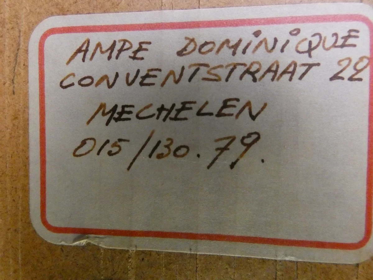 Gesigneerde litho 'Tumidantes' van Ampe Dominique in houten lijst
