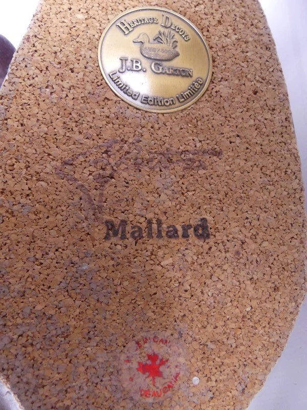 Mallardfamilie (Wilde Eend) – Bijzondere decoratieve eendencollectie