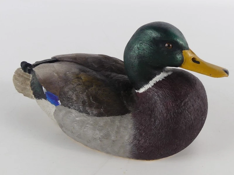 Mallardfamilie (Wilde Eend) – Bijzondere decoratieve eendencollectie