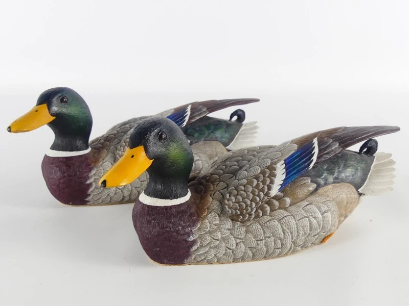Mallardfamilie (Wilde Eend) – Bijzondere decoratieve eendencollectie
