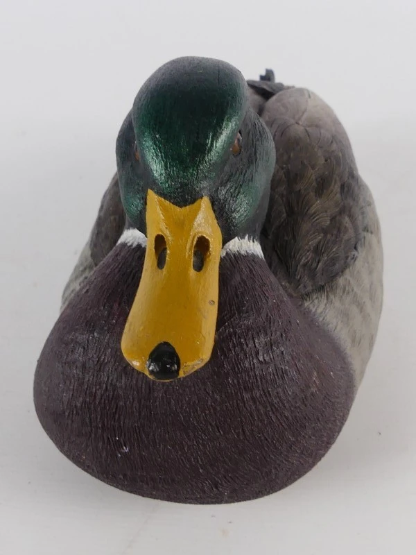 Mallardfamilie (Wilde Eend) – Bijzondere decoratieve eendencollectie