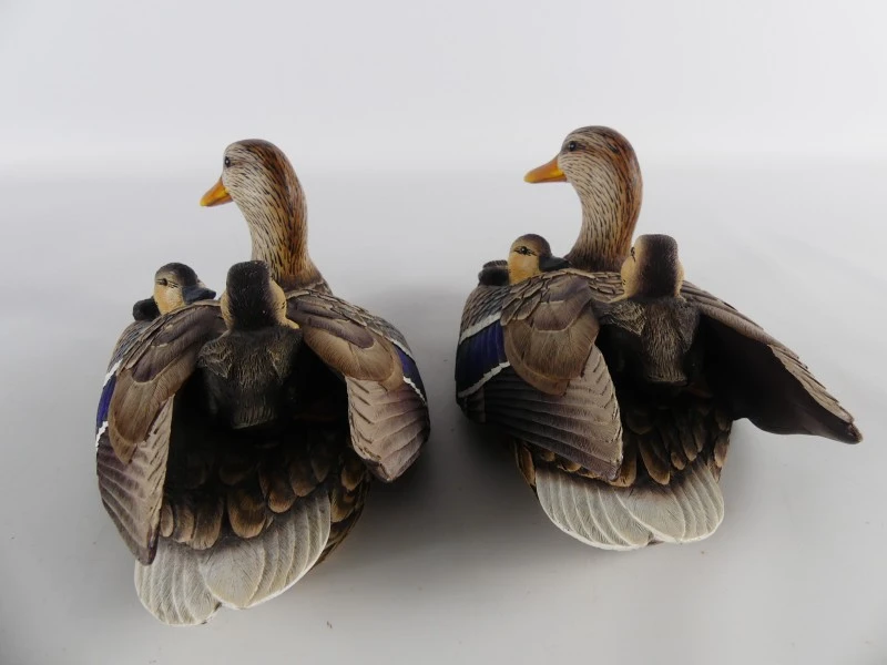 Mallardfamilie (Wilde Eend) – Bijzondere decoratieve eendencollectie